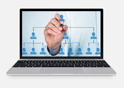 Quy trình đấu giá