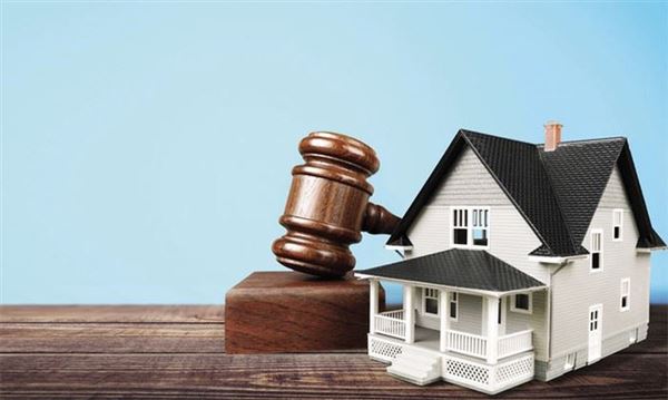 Đồng Nai đấu giá gần 16 ha đất làm khu đô thị 2.179,7 tỷ đồng tại xã Nha Bích
