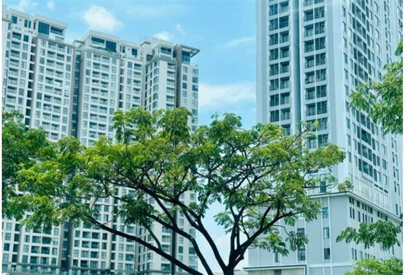 Quý 4/2025 xác lập kỷ lục mới về nguồn cung căn hộ tại Hà Nội và TP.Hồ Chí Minh