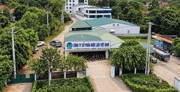 Ngân hàng tìm cách thu hồi nợ tại Dược liệu Việt Nam