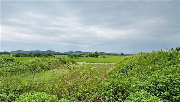 Quy định riêng về công trình biên giới trong trường hợp khẩn cấp