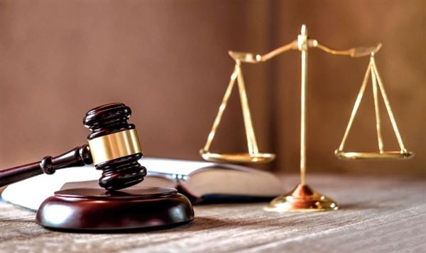 Dự thảo Luật Đấu giá tài sản (sửa đổi): Giảm thủ tục, rộng cửa phát triển nghề đấu giá