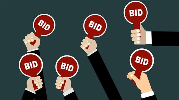 Luật quy định quyền và nghĩa vụ của người có tài sản đấu giá như thế nào?