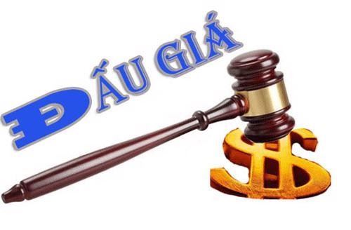 Hải Phòng: Đấu giá 69 lô đất tại xã Vĩnh Lại, tổng giá khởi điểm hơn 114 tỷ đồng