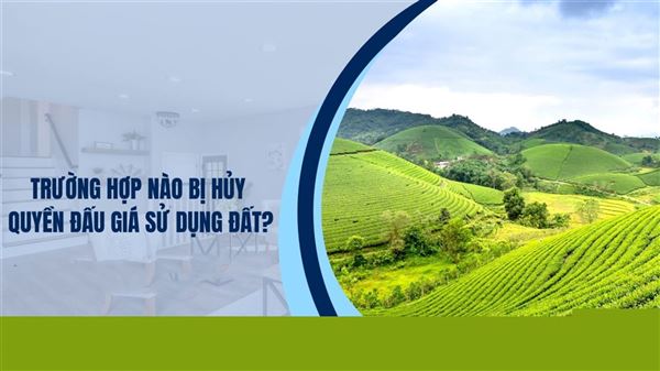 Trường hợp bị hủy quyền đấu giá sử dụng đất được quy định như thế nào?