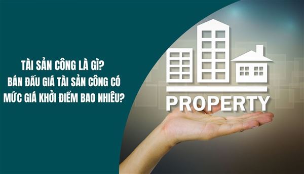 Tài sản công là gì? Bán đấu giá tài sản công có mức giá khởi điểm bao nhiêu?